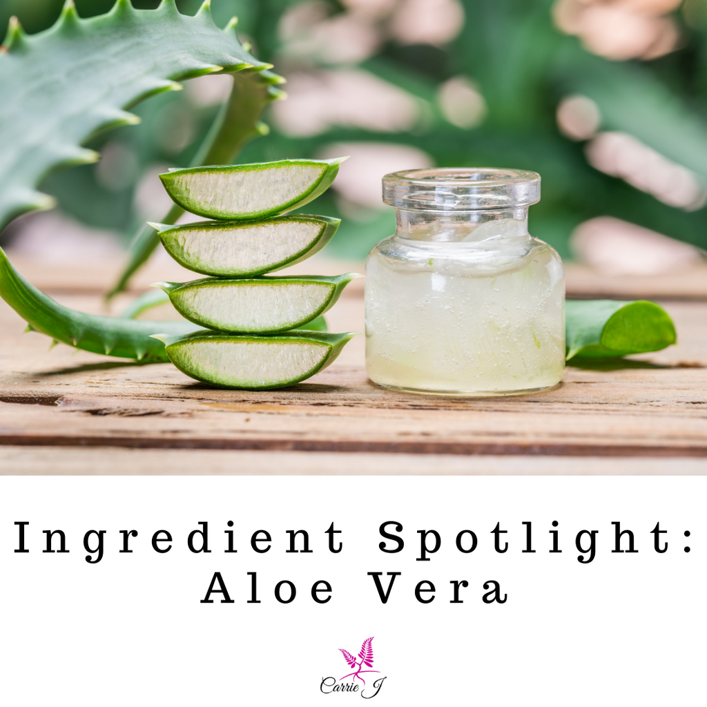 Ingredient Spotlight: Aloe Vera